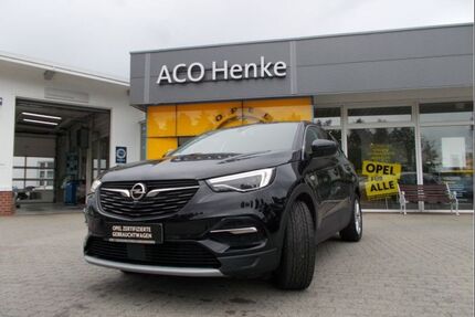 Opel Grandland (X) Gebrauchtwagen