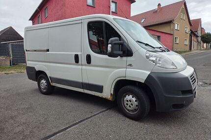 Fiat Ducato Gebrauchtwagen