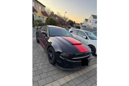 Ford Mustang Gebrauchtwagen