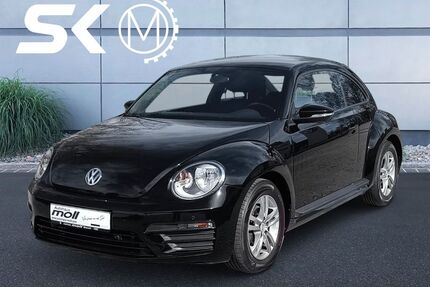 VW Beetle Gebrauchtwagen