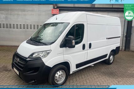 Fiat Ducato Gebrauchtwagen