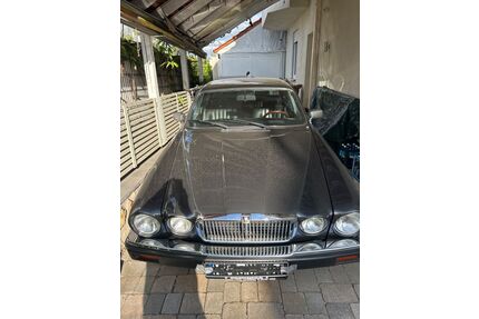 Jaguar XJ12 Gebrauchtwagen