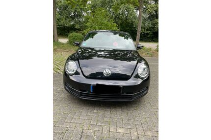 VW Beetle Gebrauchtwagen