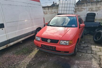 VW Polo Gebrauchtwagen