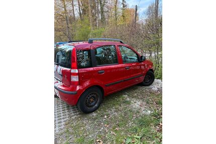 Fiat Panda Gebrauchtwagen