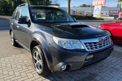 Subaru Forester Gebrauchtwagen