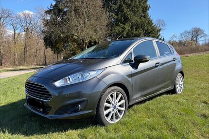 Ford Fiesta Gebrauchtwagen
