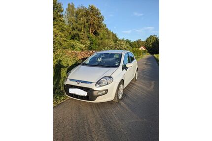 Fiat Punto Evo Gebrauchtwagen