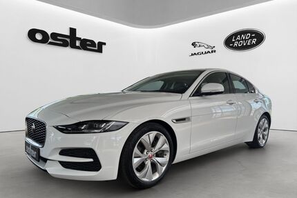 Jaguar XE Gebrauchtwagen
