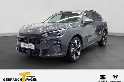 Cupra Terramar Gebrauchtwagen