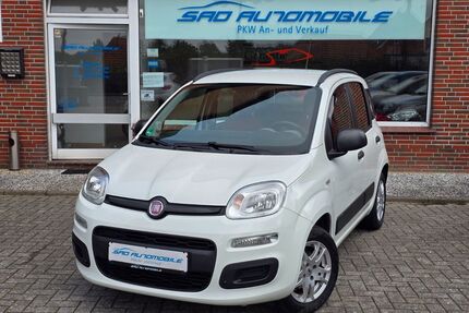 Fiat Panda Gebrauchtwagen