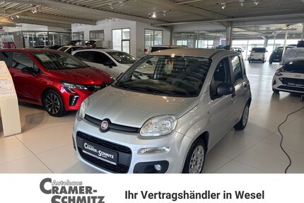 Fiat Panda Gebrauchtwagen