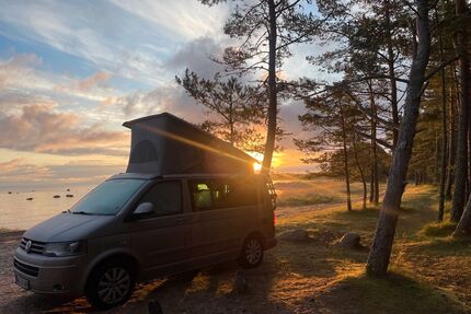 VW T5 California Gebrauchtwagen