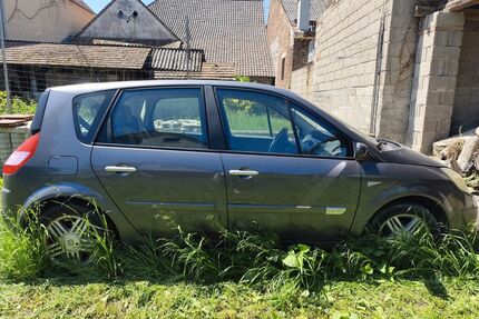 Renault Scenic Gebrauchtwagen