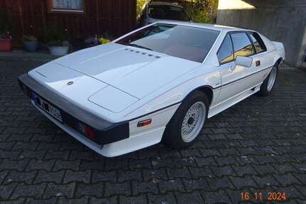 Lotus Esprit Gebrauchtwagen