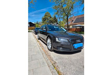 Audi A8 Gebrauchtwagen