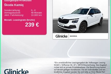 Skoda Kamiq Gebrauchtwagen