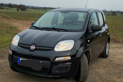 Fiat New Panda Gebrauchtwagen