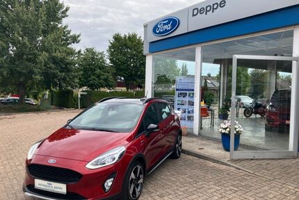 Ford Fiesta Gebrauchtwagen
