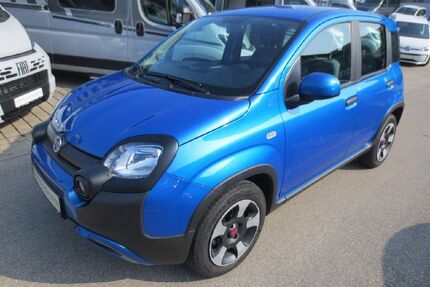 Fiat Panda Gebrauchtwagen