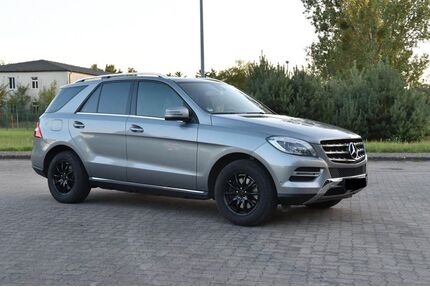 Mercedes-Benz ML 250 Gebrauchtwagen
