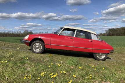 Citroen DS Gebrauchtwagen