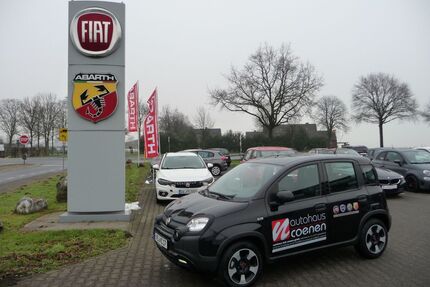 Fiat Panda Gebrauchtwagen