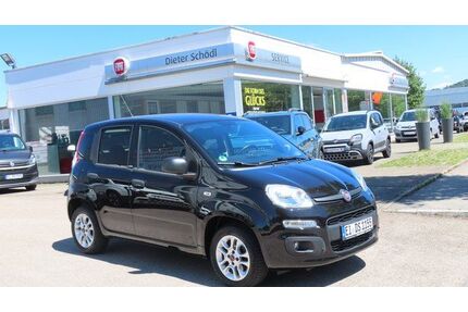 Fiat Panda Gebrauchtwagen