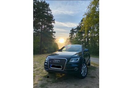 Audi Q5 Gebrauchtwagen
