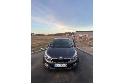 Kia ceed / Ceed Gebrauchtwagen
