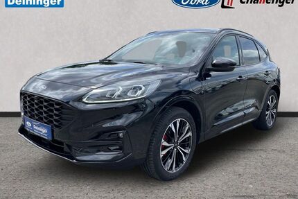 Ford Kuga Gebrauchtwagen