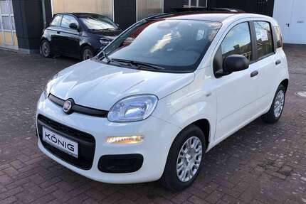 Fiat Panda Gebrauchtwagen