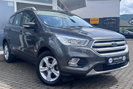 Ford Kuga Gebrauchtwagen