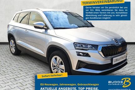 Skoda Karoq Gebrauchtwagen