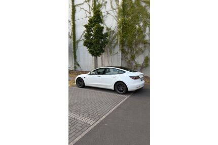 Tesla Model 3 Gebrauchtwagen