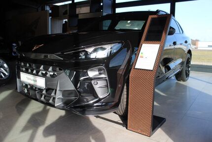 Cupra Terramar Gebrauchtwagen