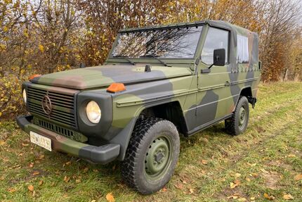 Mercedes-Benz G 250 Gebrauchtwagen