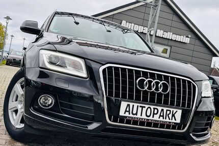 Audi Q5 Gebrauchtwagen