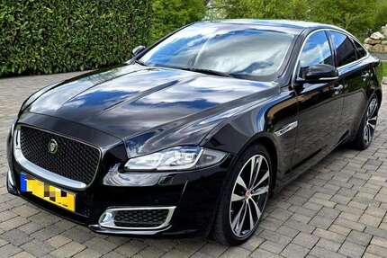 Renault XJ 