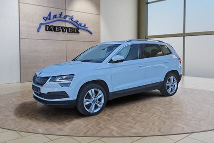 Skoda Karoq Gebrauchtwagen