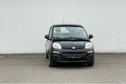 Fiat Panda Gebrauchtwagen