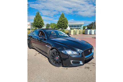 Jaguar XJ Gebrauchtwagen