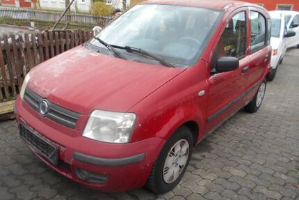 Fiat Panda Gebrauchtwagen