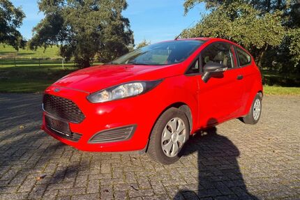 Ford Fiesta Gebrauchtwagen