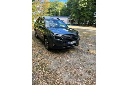 Subaru Forester Gebrauchtwagen