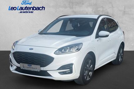 Ford Kuga Gebrauchtwagen