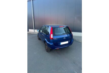 Ford Fusion Gebrauchtwagen