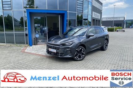 Cupra Terramar Gebrauchtwagen