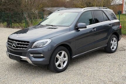Mercedes-Benz ML 250 Gebrauchtwagen