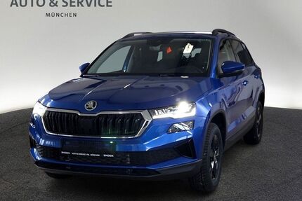 Skoda Karoq Gebrauchtwagen